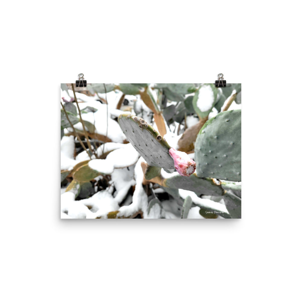 TEXAS SNOW 2021 - Photo paper poster