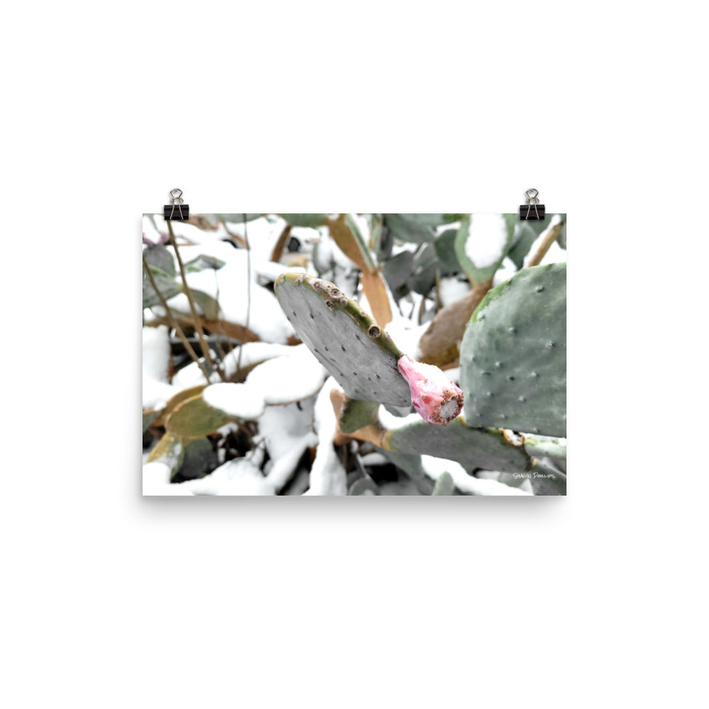 TEXAS SNOW 2021 - Photo paper poster