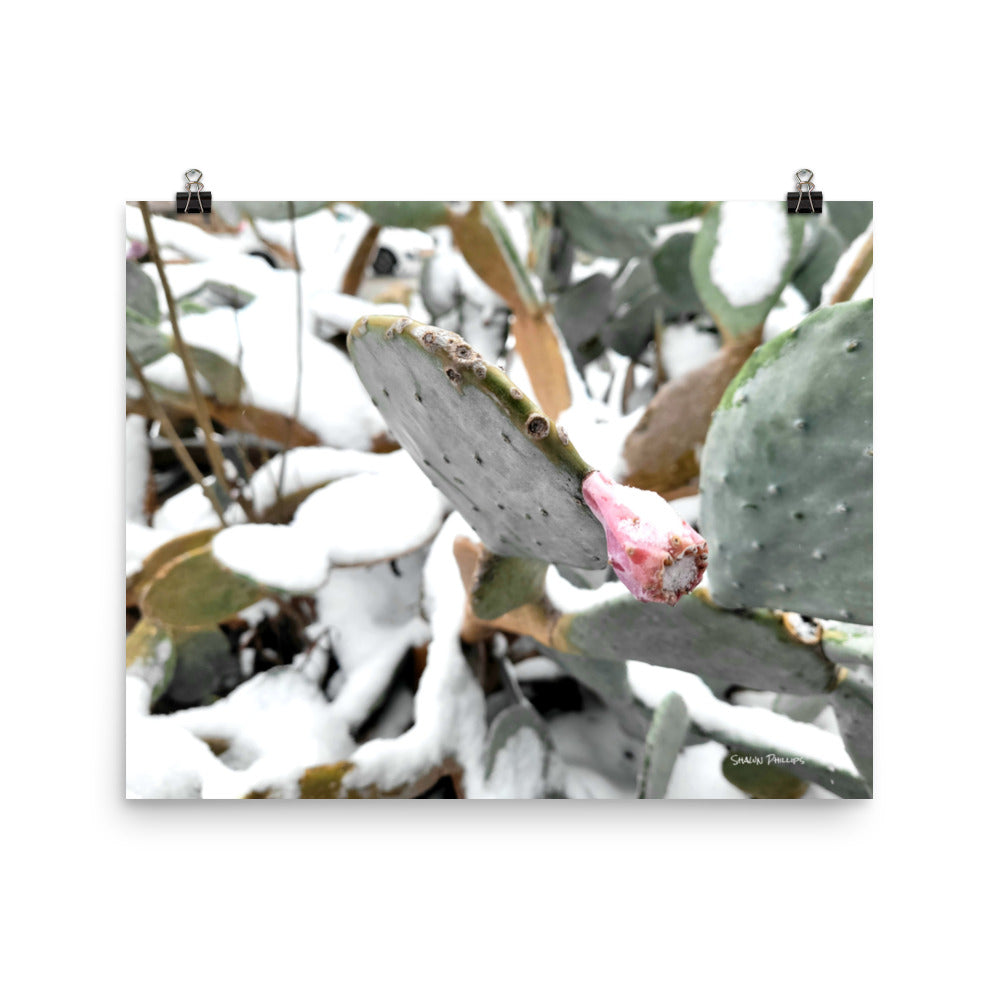 TEXAS SNOW 2021 - Photo paper poster
