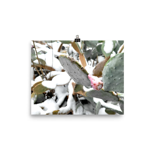 TEXAS SNOW 2021 - Photo paper poster